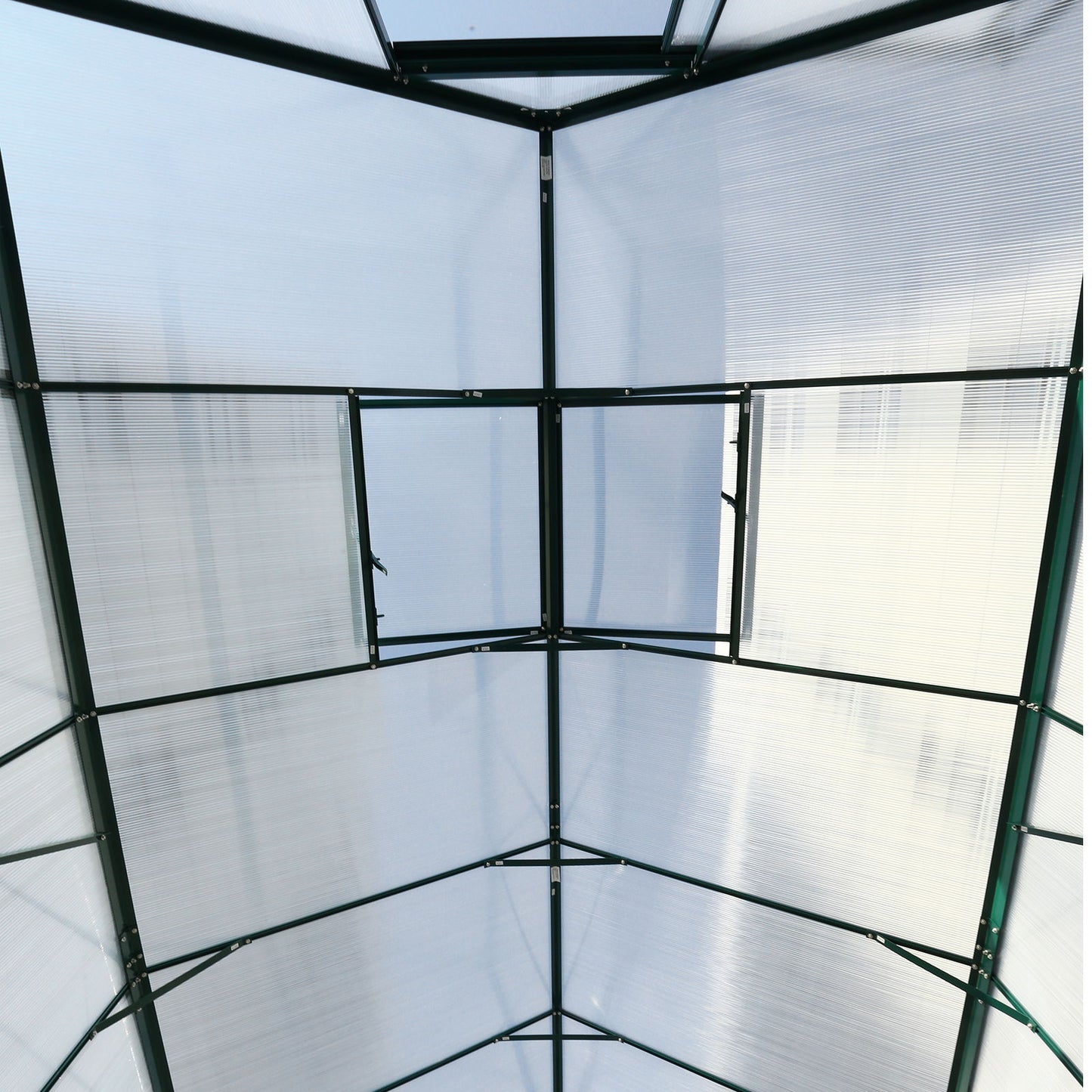 Heavy Duty Polycarbonate Greenhouse Kit and Door