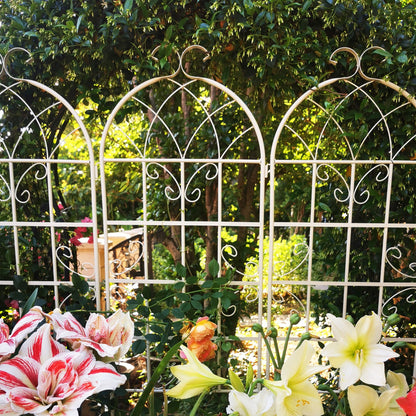 Metal Trellis For Climbing Plants And Vines