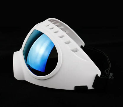 White pet helmet sunglasses with blue mirrored lens and adjustable strap FLIPSTYLEZLLC on Tampa Home & Garden Store