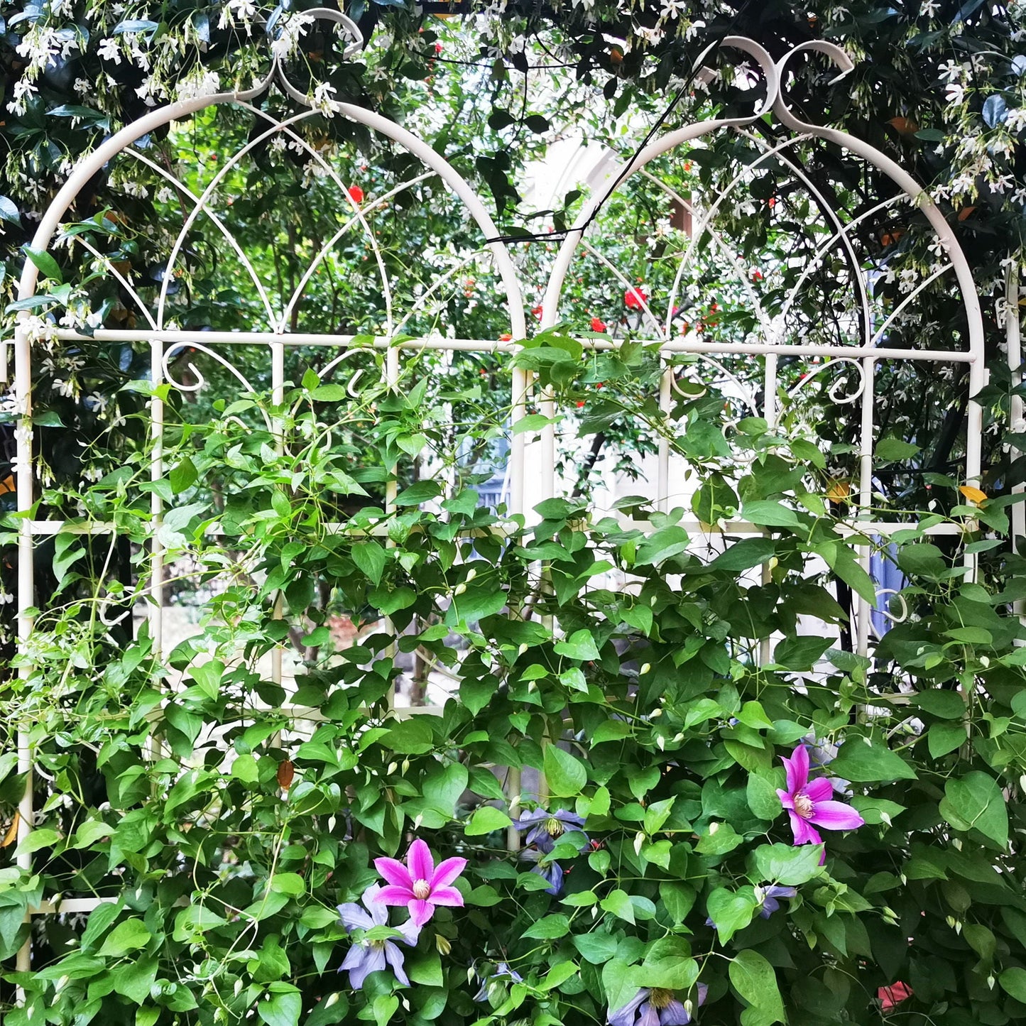 Metal Trellis For Climbing Plants And Vines