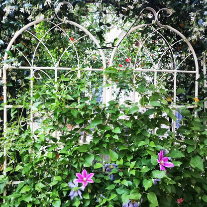 Metal Trellis For Climbing Plants And Vines