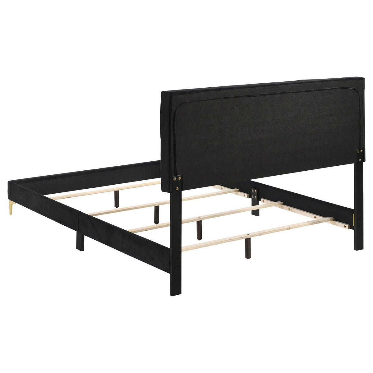 Lexie Tufted Panel Bed with a Soft Padded Frame
