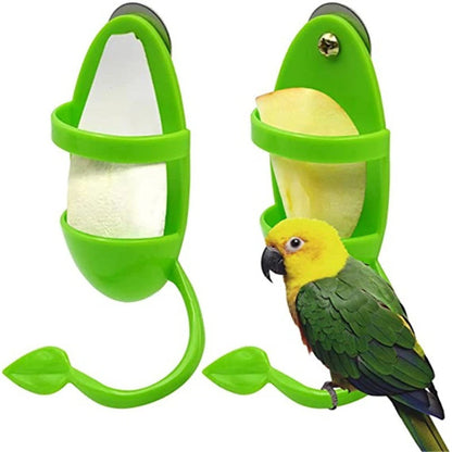 Parrot food rack in green plastic with curved hanging hook; holds cuttlefish bone; 2-pack on Tampa Home & Garden Store