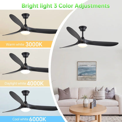 Smart Ceiling Fan With Lights, DC Motor Indoor