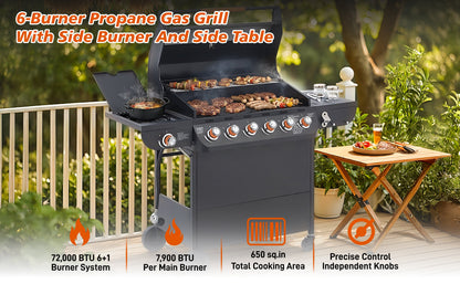6 Burner Propane Gas Grill for a Backyard