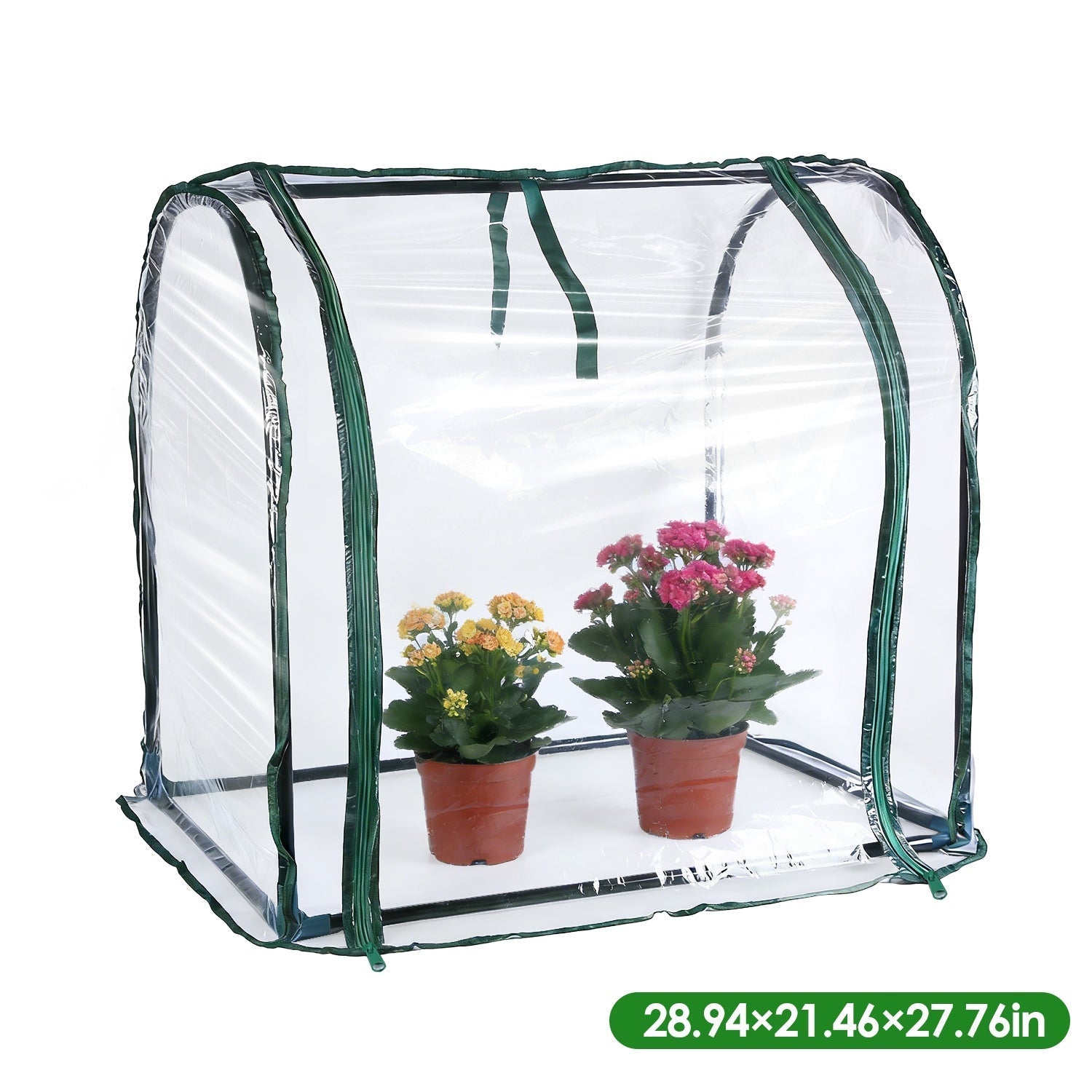 GemGear tabletop mini greenhouse, clear plastic with green trim, two potted plants on Tampa Home & Garden Store
