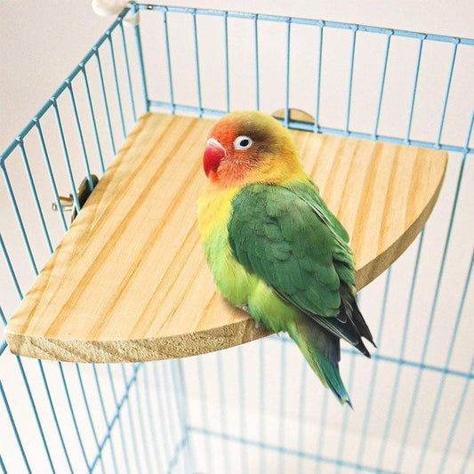 Solid Wood Jumping Platform Perch for Bird Cage, climbing toy with colorful parrot on a blue cage on Tampa Home & Garden Store