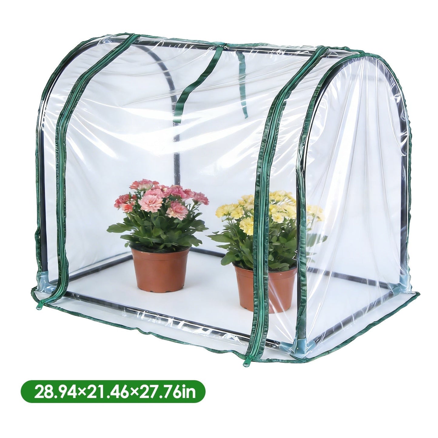 GemGear tabletop mini greenhouse with clear panels and green trim, holds 2 potted flowers on Tampa Home & Garden Store