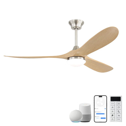 Smart Ceiling Fan With Lights, DC Motor Indoor