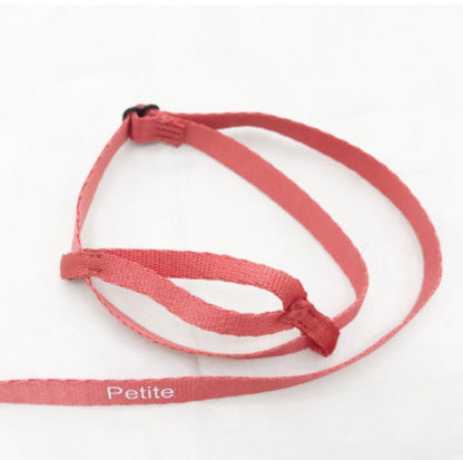 Parrot flying rope and bird harness in red Petite strap with loops on Tampa Home & Garden Store
