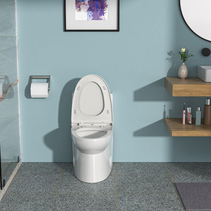 Modern white 1-piece toilet with dual flush and soft-closing seat in a blue bathroom on Tampa Home & Garden Store
