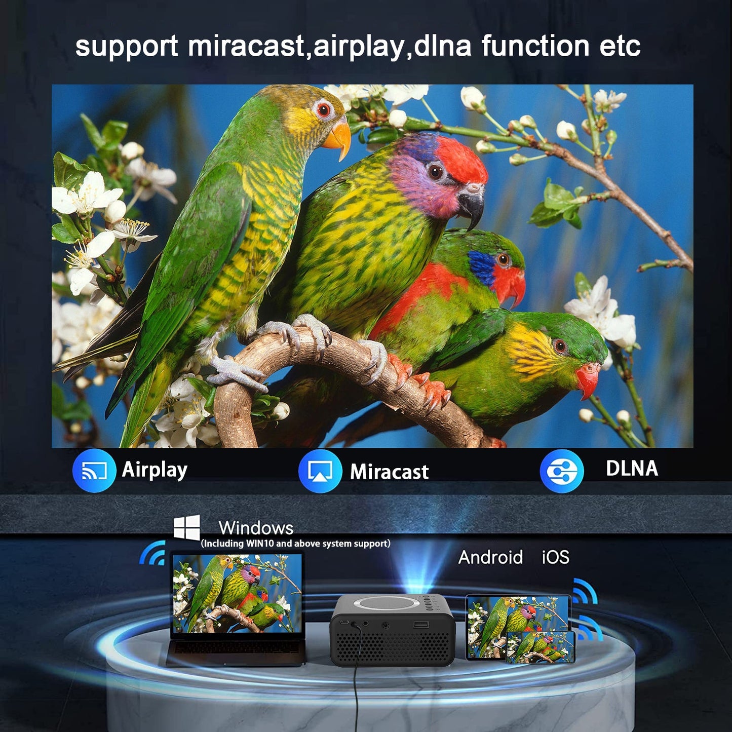 YT300 mobile projector displays vivid parrot scene with Airplay Miracast DLNA icons on Tampa Home & Garden Store