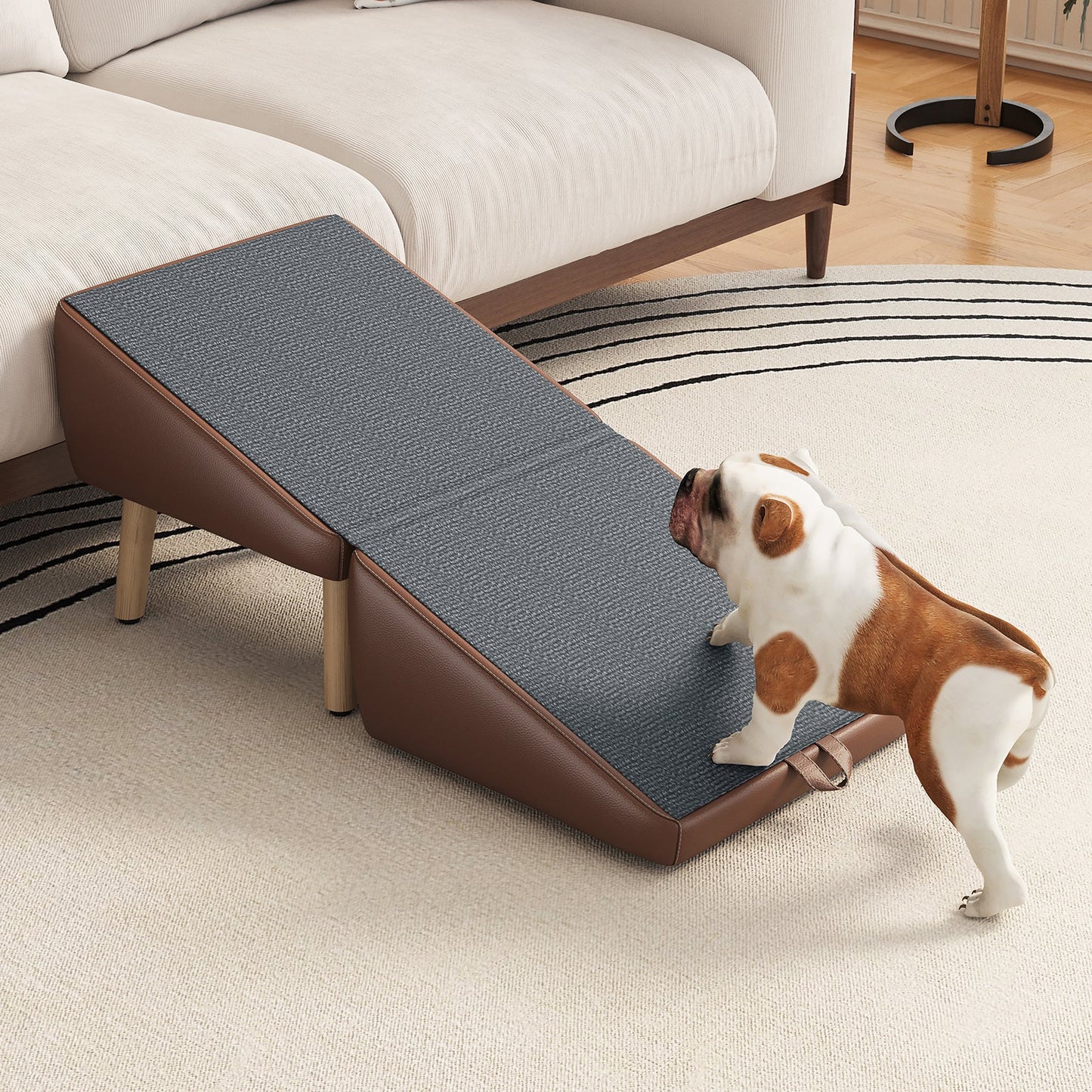 Dog stairs and foldable wooden pet ramp by HouseOfZazla, blue top with brown trim; beagle nearby on Tampa Home & Garden Store