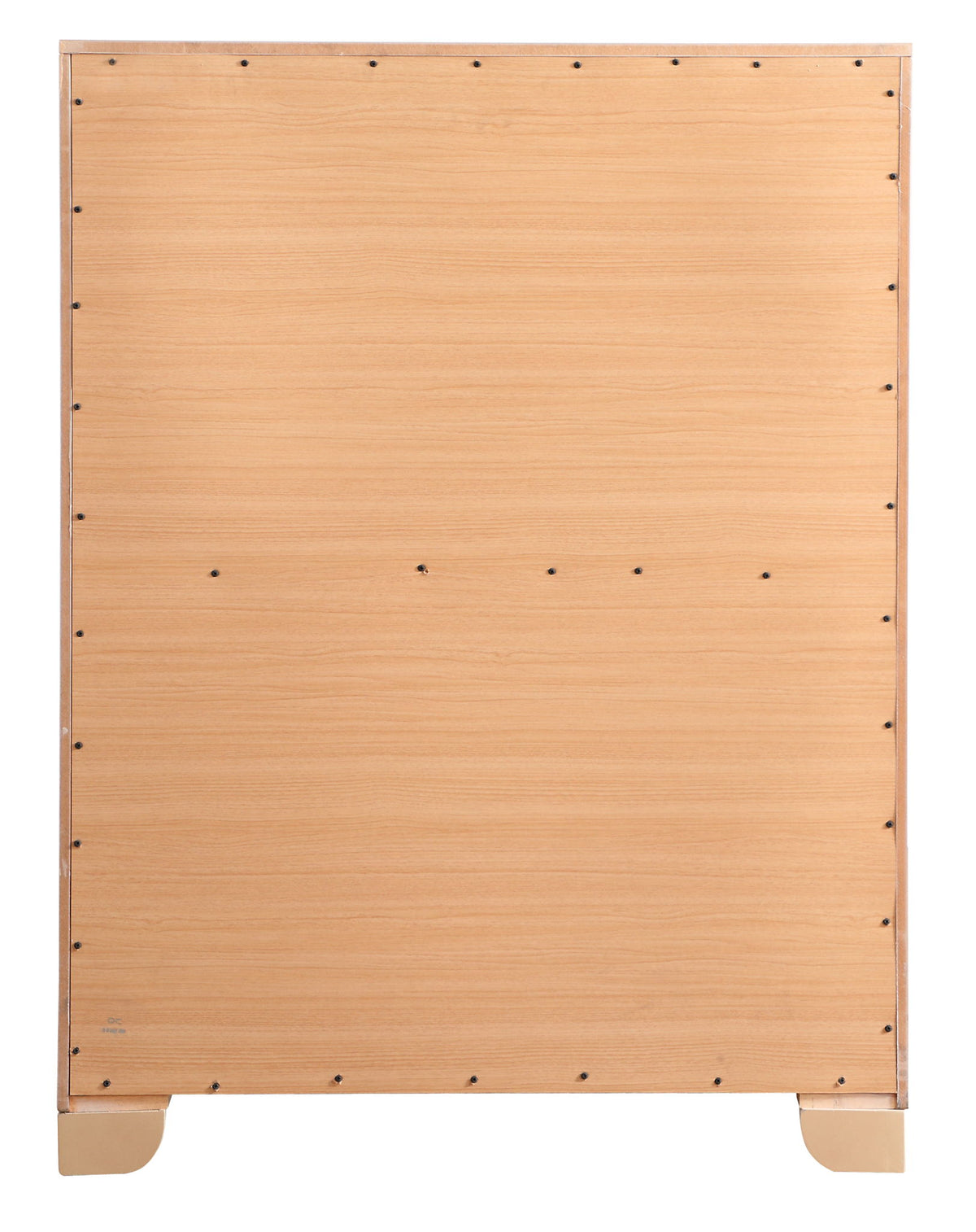 Sleek Contemporary Storage Chest, light wood veneer with visible screws and short legs on Tampa Home & Garden Store