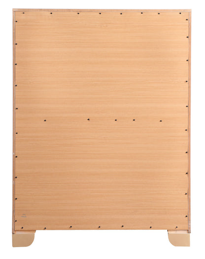 Sleek Contemporary Storage Chest, light wood veneer with visible screws and short legs on Tampa Home & Garden Store