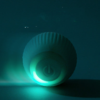 USB Rechargeable Gravity Electric Rolling Ball Cat Toy with teal LED glow on Tampa Home & Garden Store