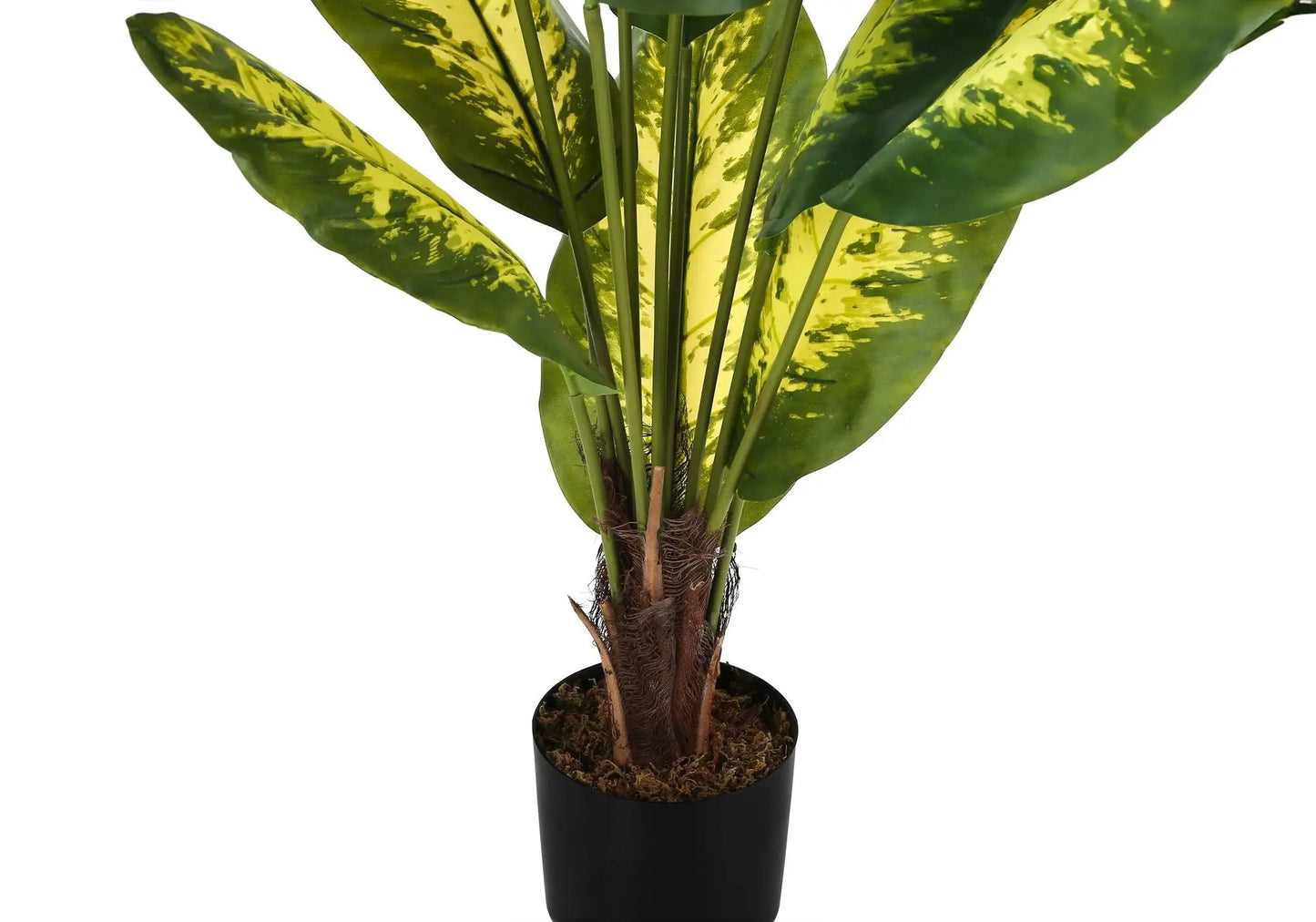 Artificial 47in tall dumb cane plant in a black pot with green and yellow variegated leaves on Tampa Home & Garden Store