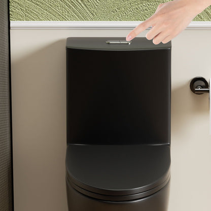 1-Piece Toilet with Tornado Dual-Flush, ADA height, black finish by HouseOfZazla on Tampa Home & Garden Store