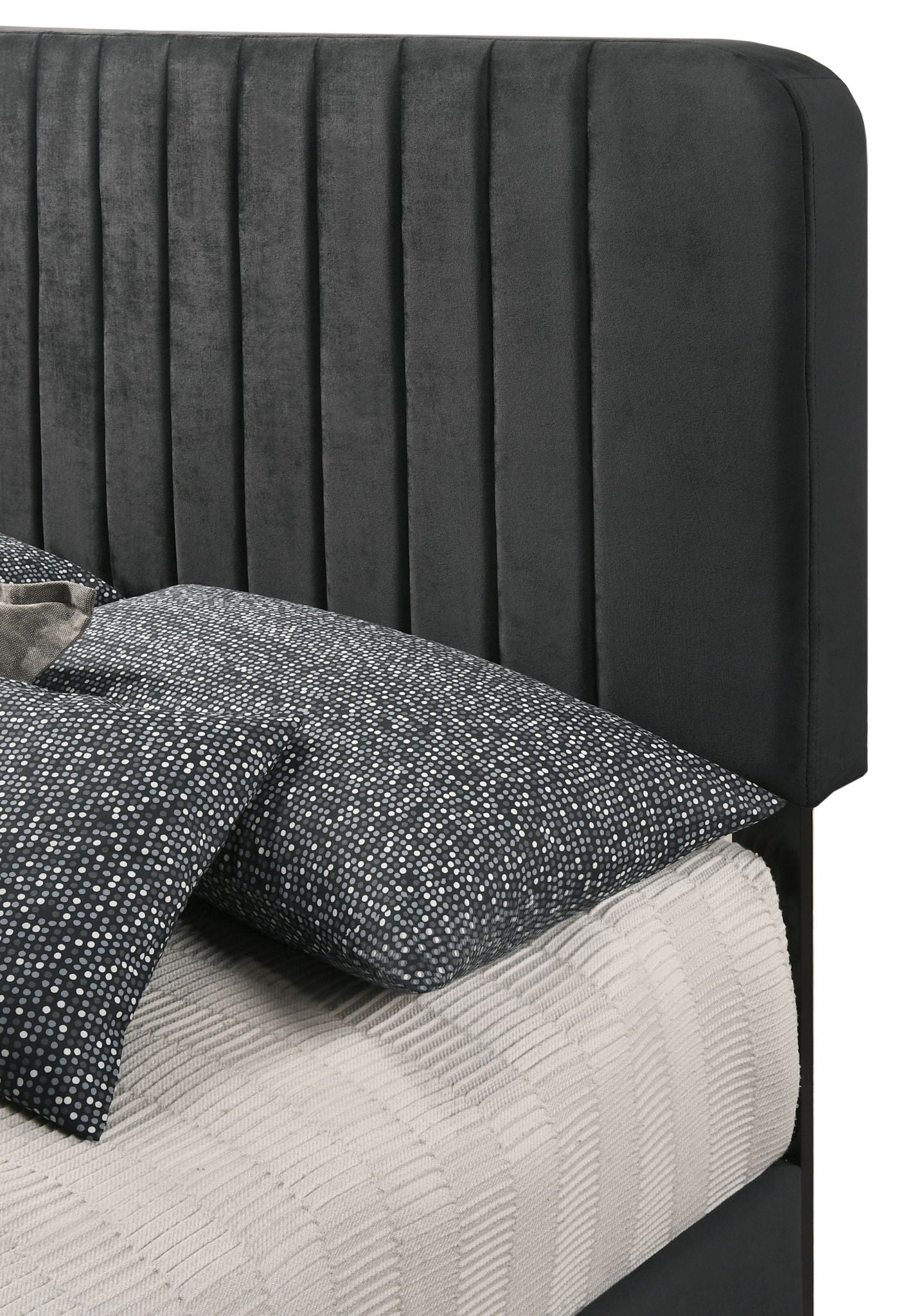 Channel Tufted Bed by HouseOfZazla in dark gray velvet with vertical tufted headboard on Tampa Home & Garden Store