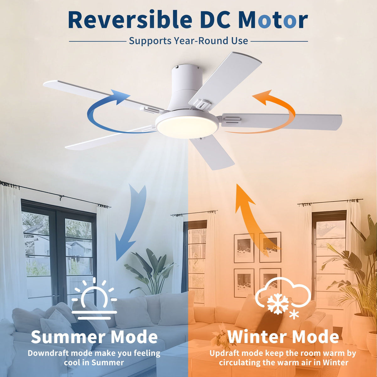 Ceiling fan with LED light and remote; reversible DC motor in black, white, pearl silver on Tampa Home & Garden Store