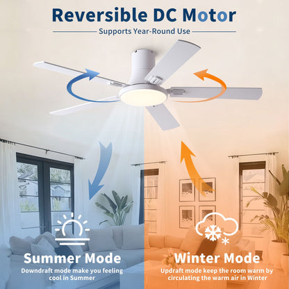 Ceiling fan with LED light and remote; reversible DC motor in black, white, pearl silver on Tampa Home & Garden Store