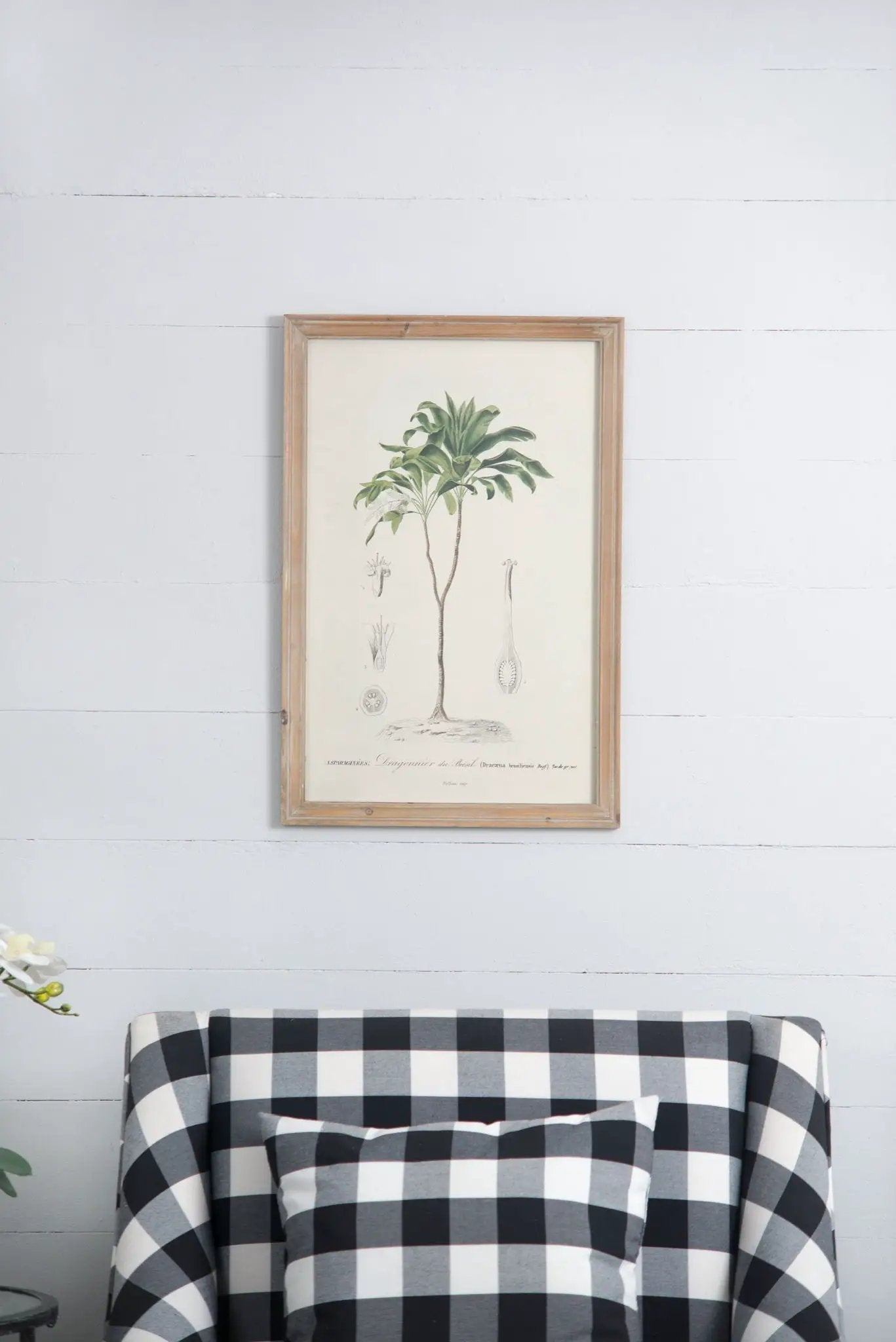 Tree Framed Print Set of 2 Multicolor botanical illustration in light wood frame above sofa on Tampa Home & Garden Store