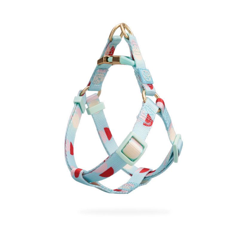 Pet Zen Y-shaped chest harness for dogs, light blue with print, adjustable, gold hardware on Tampa Home & Garden Store