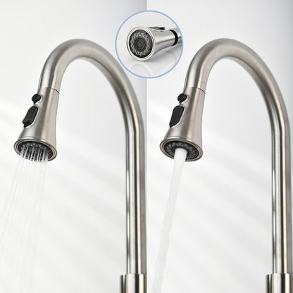 High Arc Kitchen Faucet and Pull Down Sprayer