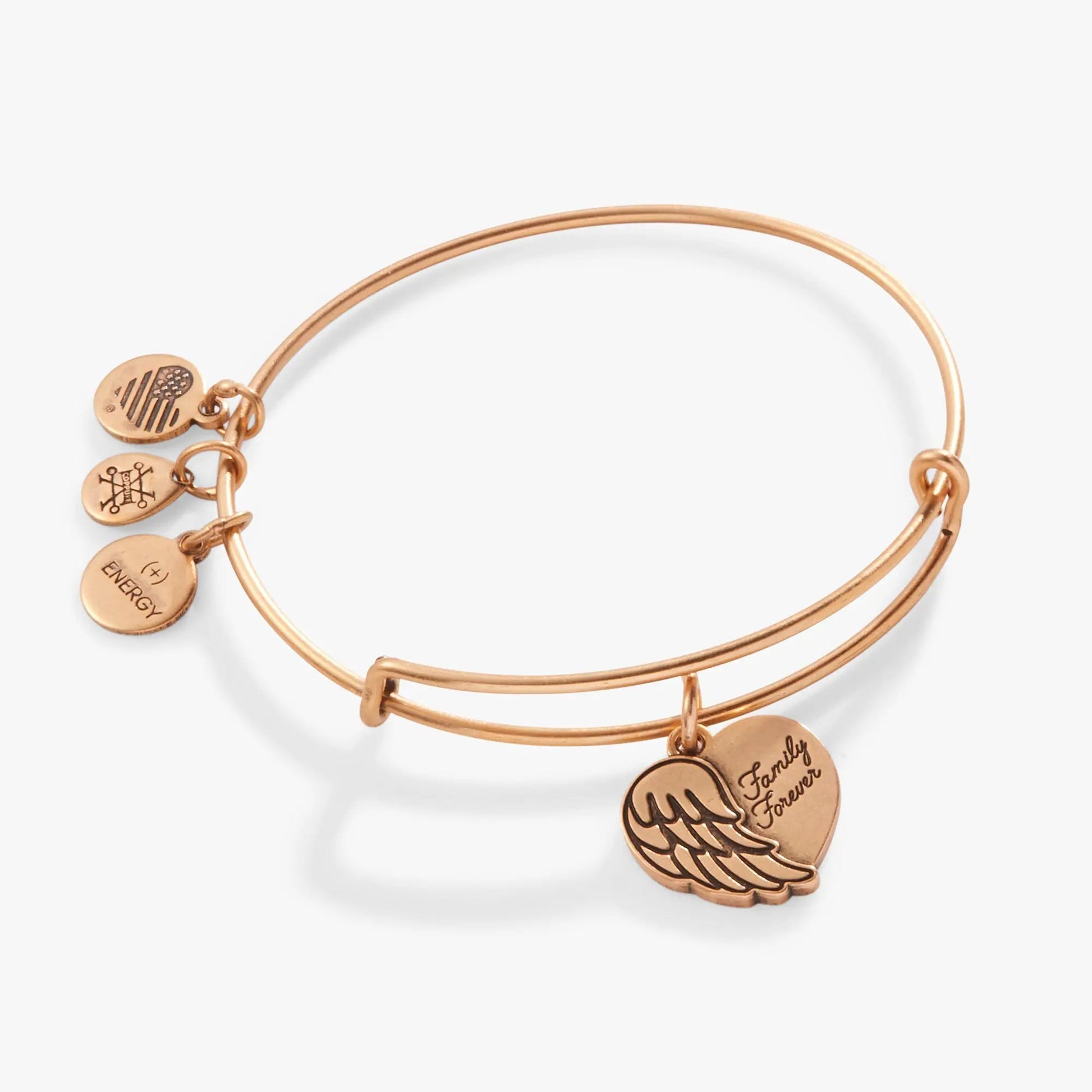 Family Forever angel wing heart charm bracelet rose gold tone by Alex and Ani on Tampa Home & Garden Store