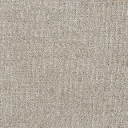 Pacheco sleeper sectional chaise sofa beige carpet texture on Tampa Home & Garden Store