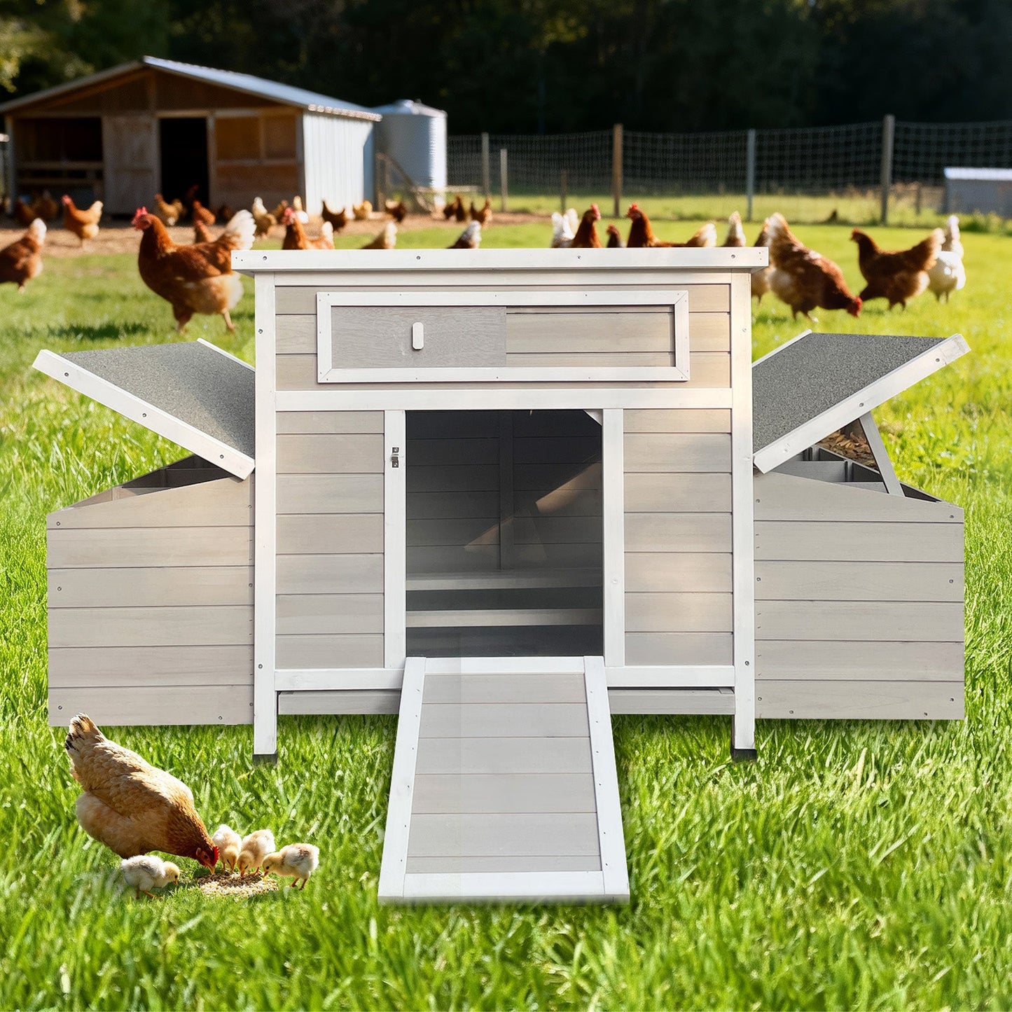 Large Wooden Outdoor Hen House and Nesting Box