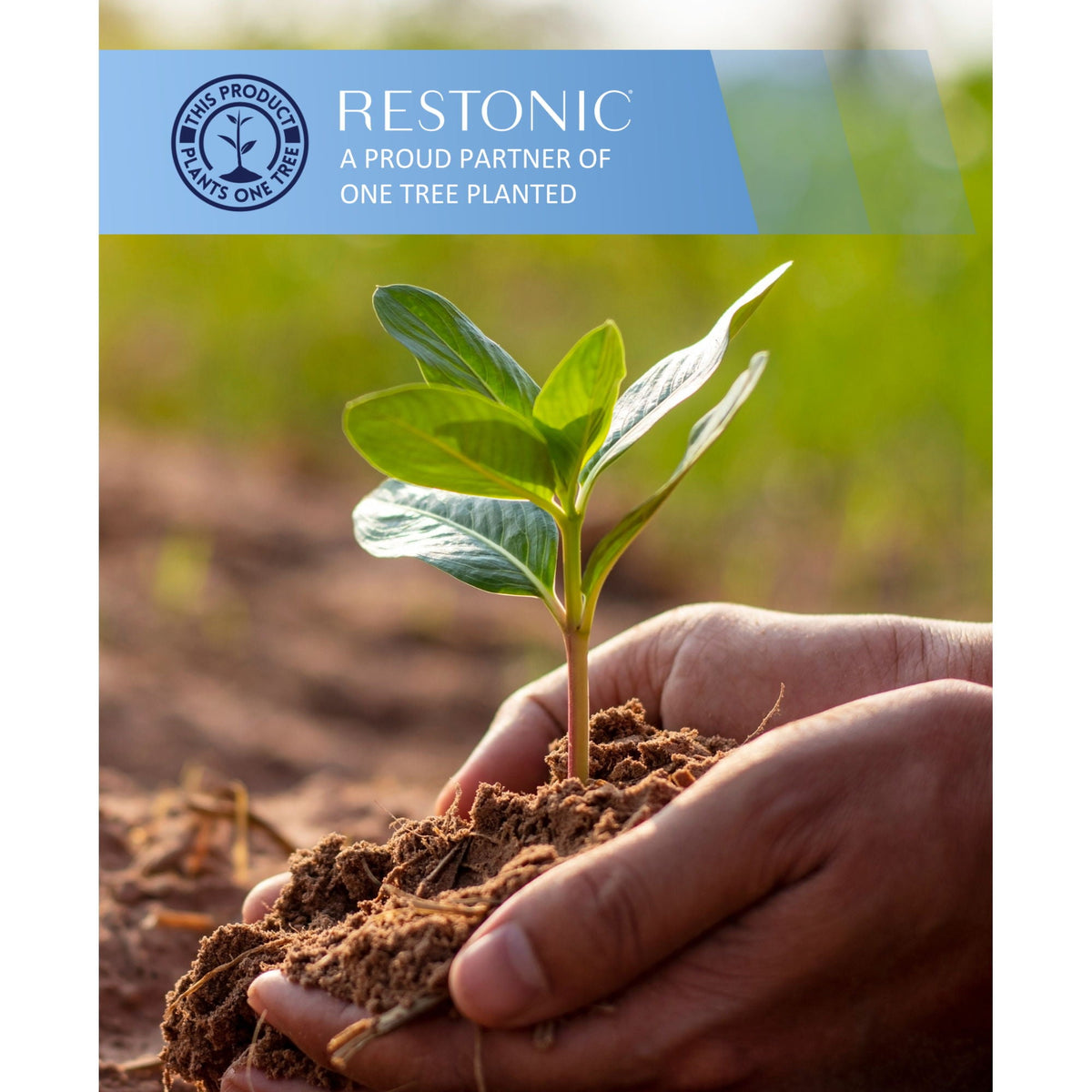 HouseOfZazla bedding sets image with Restonic One Tree Planted banner above a seedling on Tampa Home & Garden Store