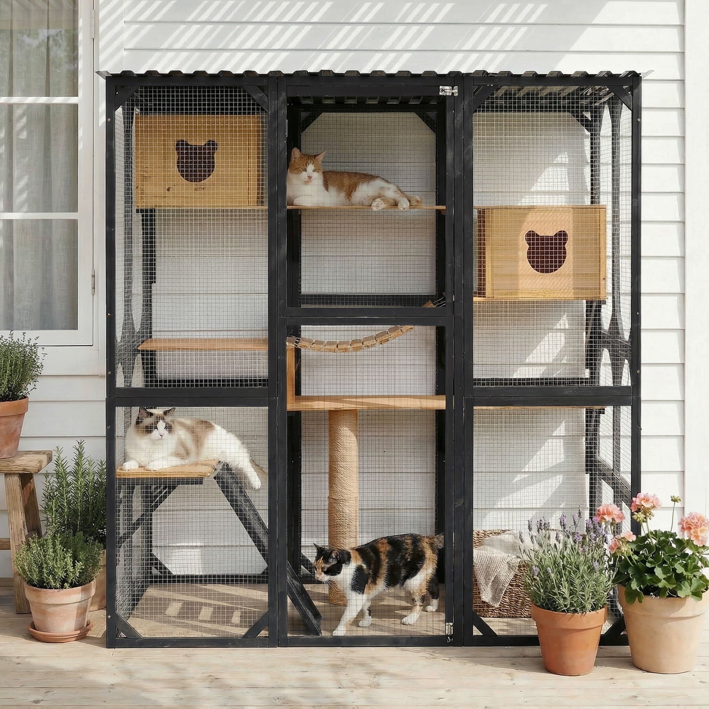 Multi Level Outdoor Cat Enclosure and Platform