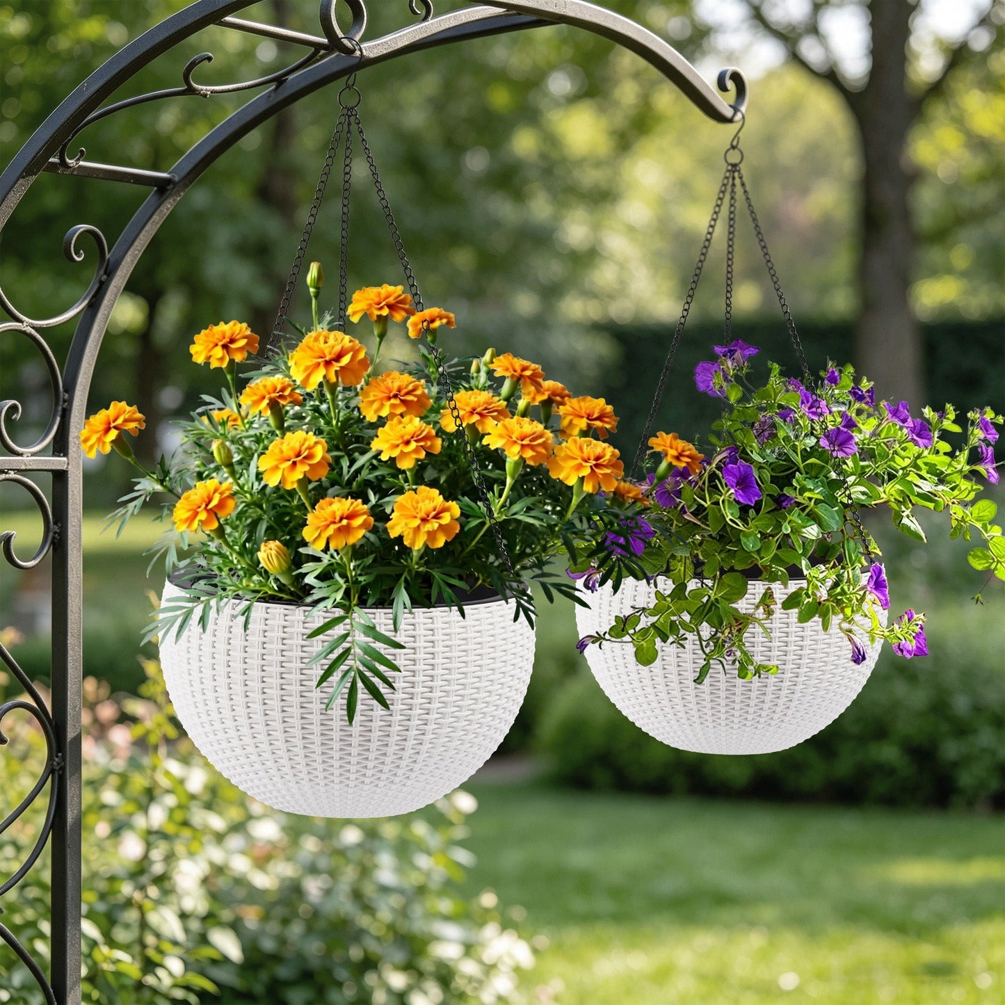 Self Watering Hanging Planter with two wicker baskets and orange marigolds on a metal arch on Tampa Home & Garden Store