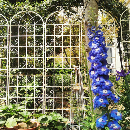 Metal Trellis For Climbing Plants And Vines