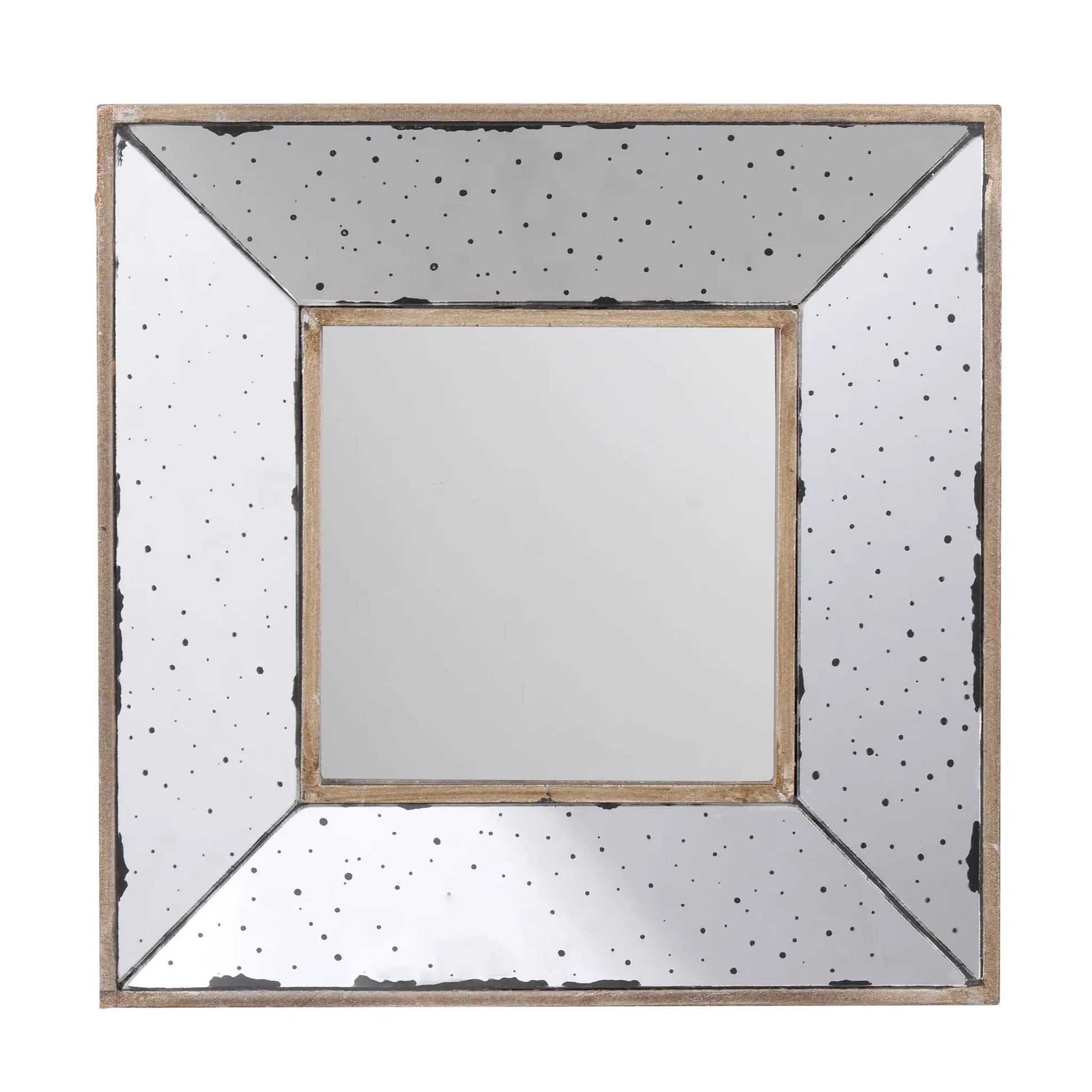 Distressed accent mirror traditional framed wall mirror with a gold frame and speckled panels on Tampa Home & Garden Store
