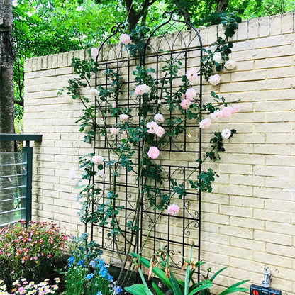 Metal garden trellis for climbing plants, rustproof black iron with decorative scrolls on Tampa Home & Garden Store