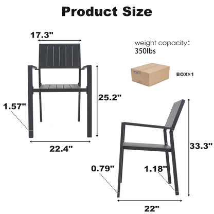 Modern Outdoor and Indoor Metal Chair Set of Two