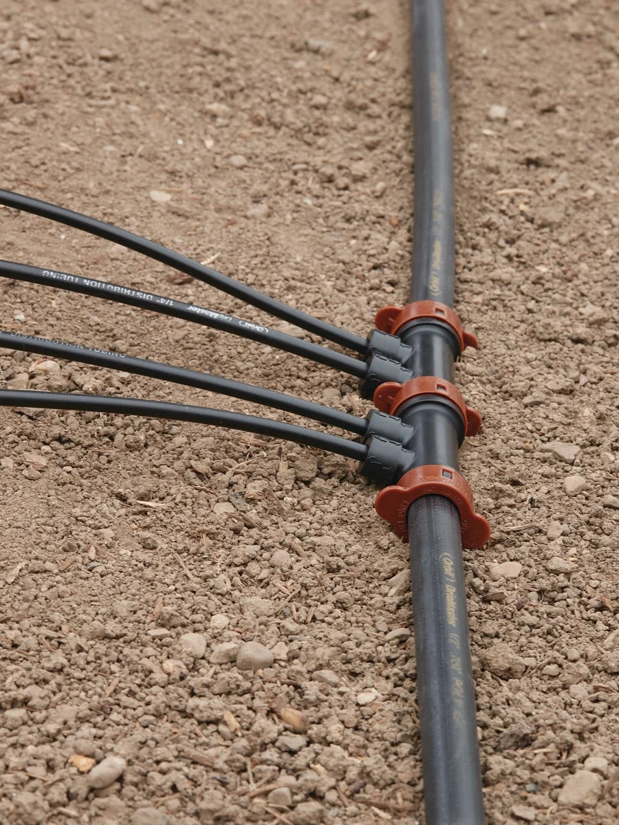 Orbit Irrigation Drip-Lock Half Inch by Quarter Inch 2-Port Manifold with clamps on black line on Tampa Home & Garden Store