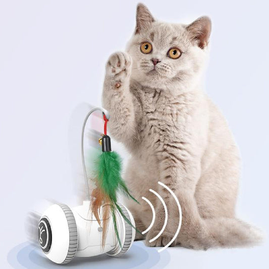 Interactive cat toy with interchangeable feather heads, white base and green feather attachment on Tampa Home & Garden Store