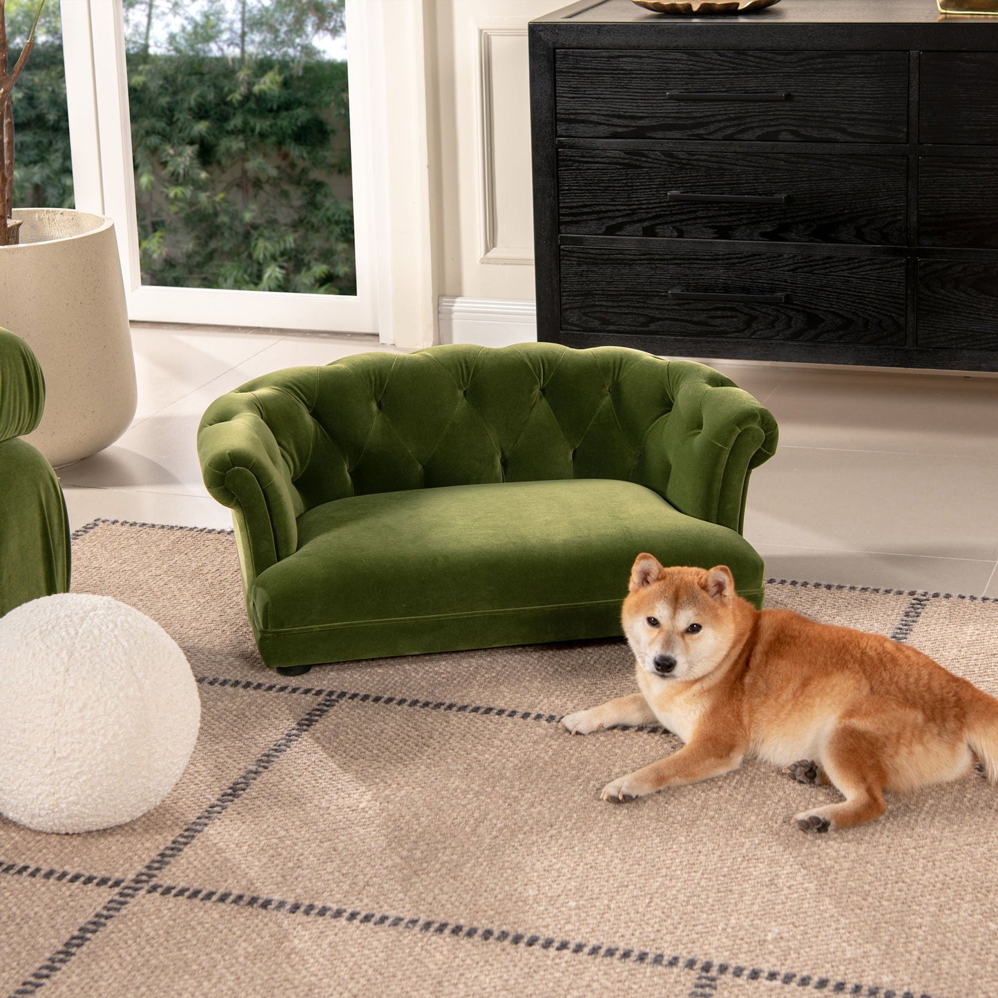 Kiki Chesterfield Dog Sofa Bed, medium green velvet, in a modern living room on Tampa Home & Garden Store
