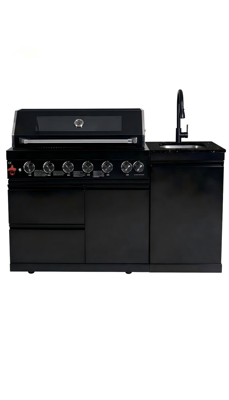Deluxe Stainless Steel and Outdoor Propane Grill