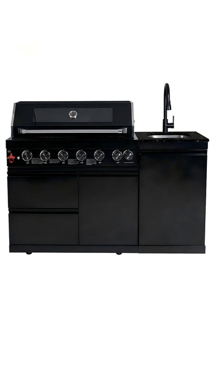 Deluxe Stainless Steel and Outdoor Propane Grill