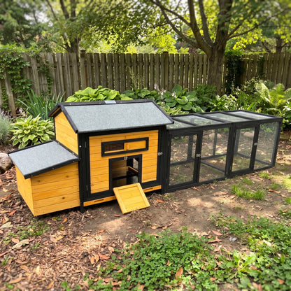 Wooden Chicken Coop and Large Outdoor Run Space