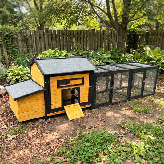 114-inch wooden chicken coop with outdoor run, yellow siding and black trim in a garden on Tampa Home & Garden Store