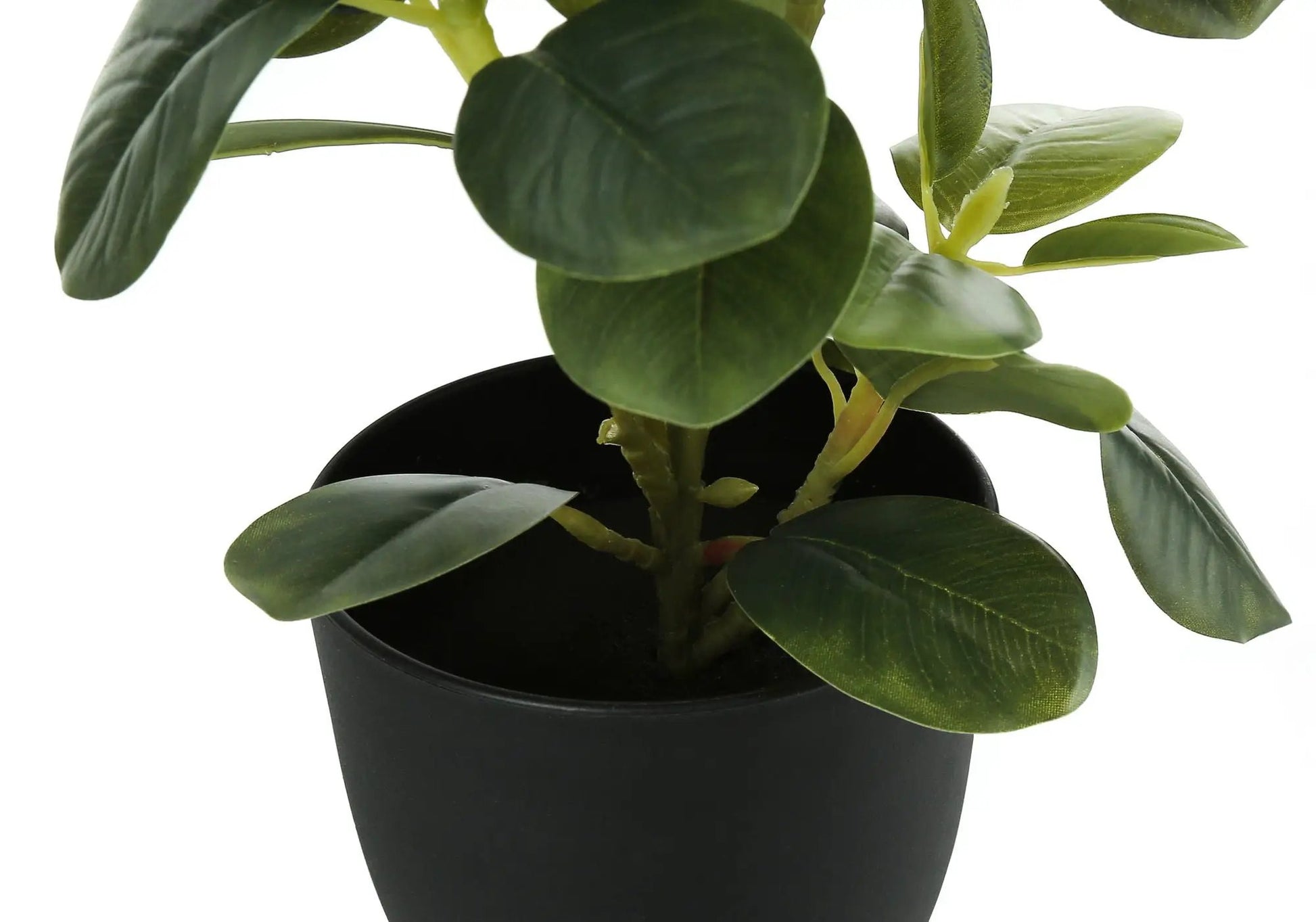 Artificial Ficus plant set of 2 with green leaves in a black pot, indoor decorative greenery on Tampa Home & Garden Store