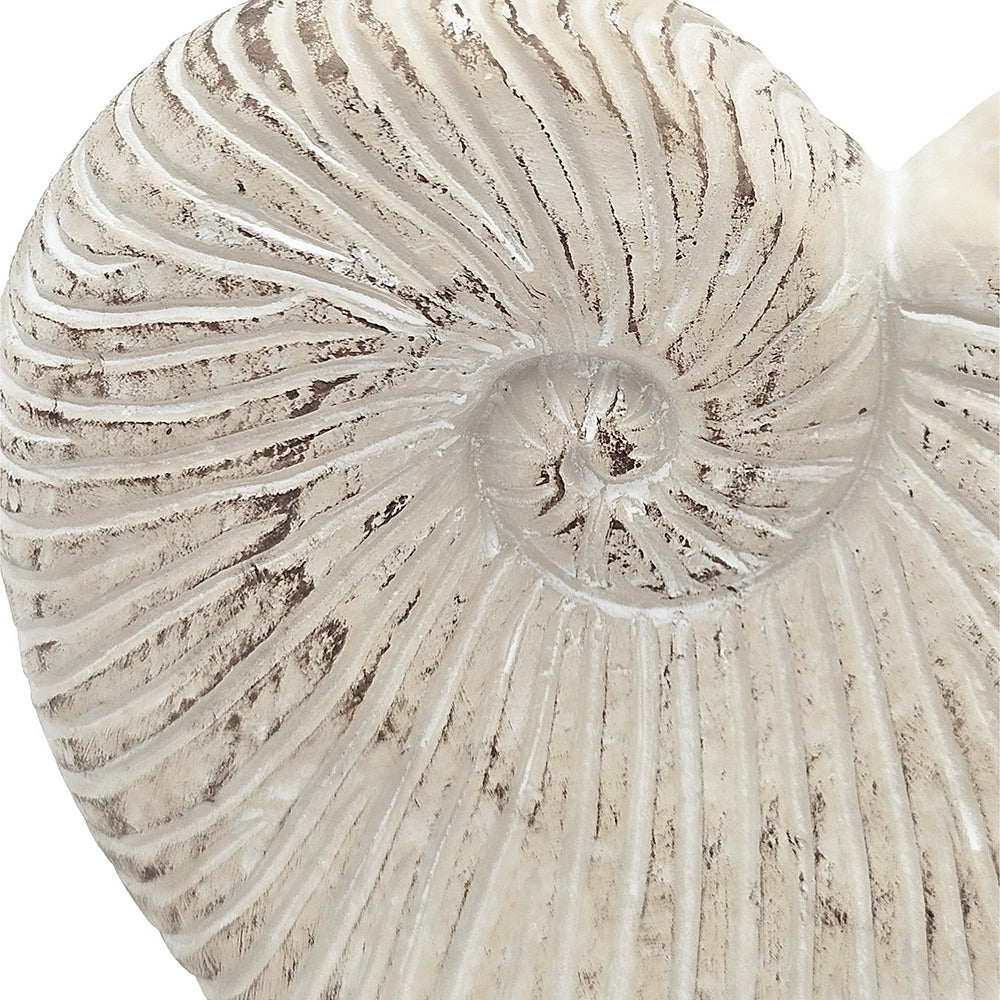 Nautilus shell planter textured beige sand-and-cement finish by HouseOfZazla, 11.5x6.7x7.7 on Tampa Home & Garden Store