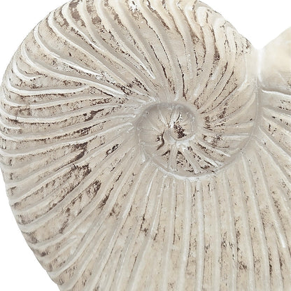 Nautilus shell planter textured beige sand-and-cement finish by HouseOfZazla, 11.5x6.7x7.7 on Tampa Home & Garden Store