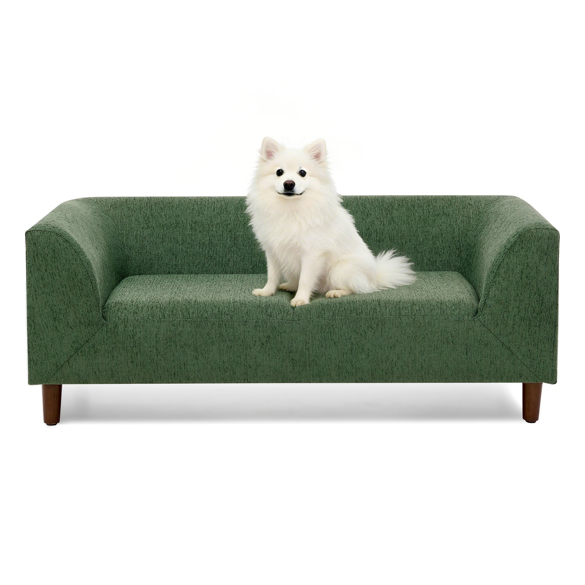Pet Sofa with Backrest and Armrests - Modern Olive fabric with white dog on HouseOfZazla on Tampa Home & Garden Store