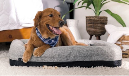 BedGear Performance Pet Bed, XL gray dog bed with black base; dog with blue plaid bandana on Tampa Home & Garden Store